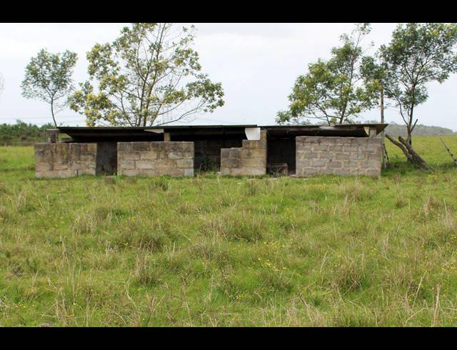106HA FARM FOR SALE IN EAST LONDON CENTRAL